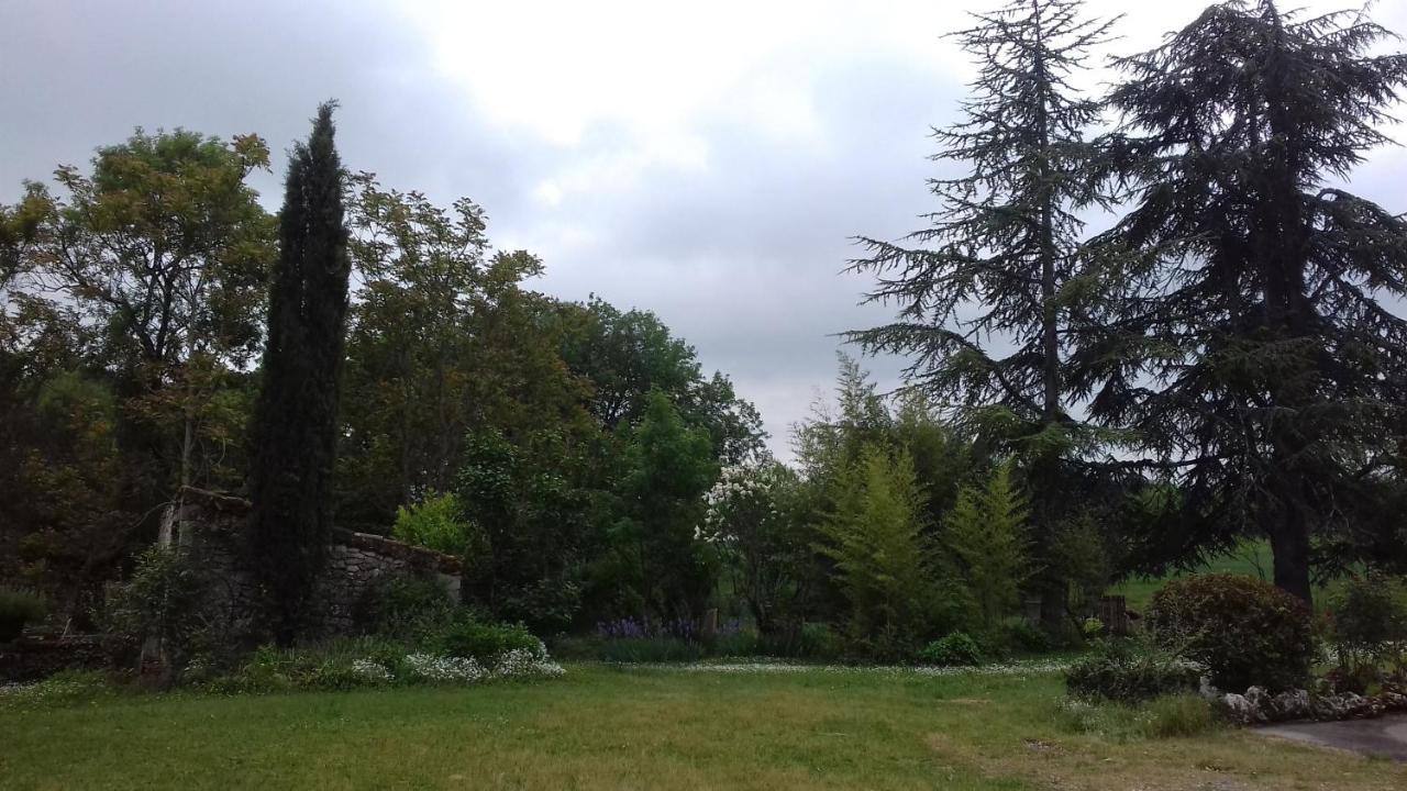 Bed and Breakfast Domaine De Seguela Fargues  Экстерьер фото