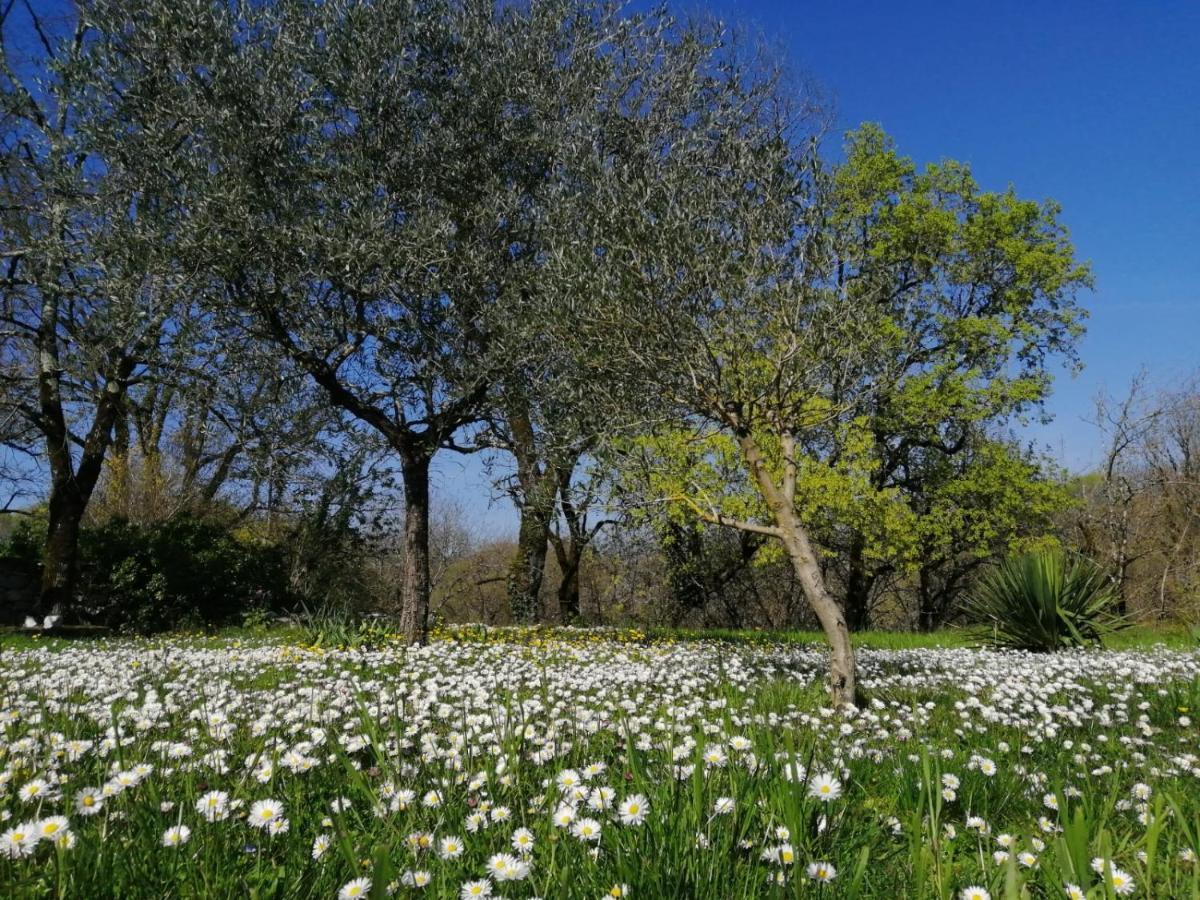 Bed and Breakfast Domaine De Seguela Fargues  Экстерьер фото
